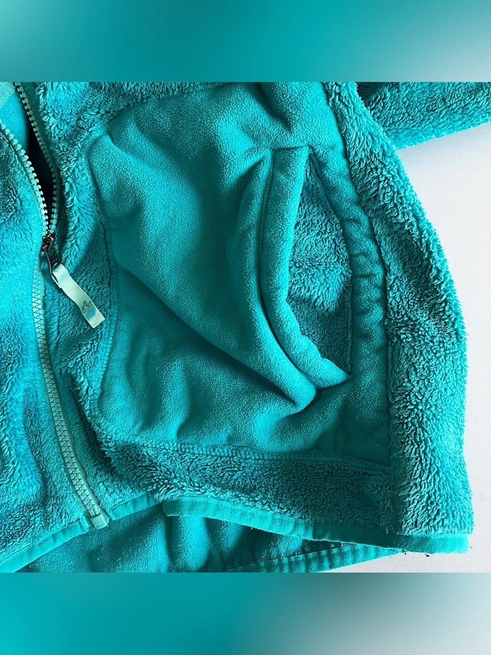 The North Face north face
